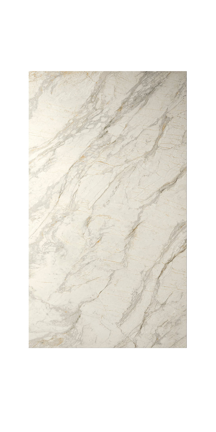 Porcelain Tile VAN GOGH WHITE 24x48 RETT HARD 24x48 in WHITE RETT HARD