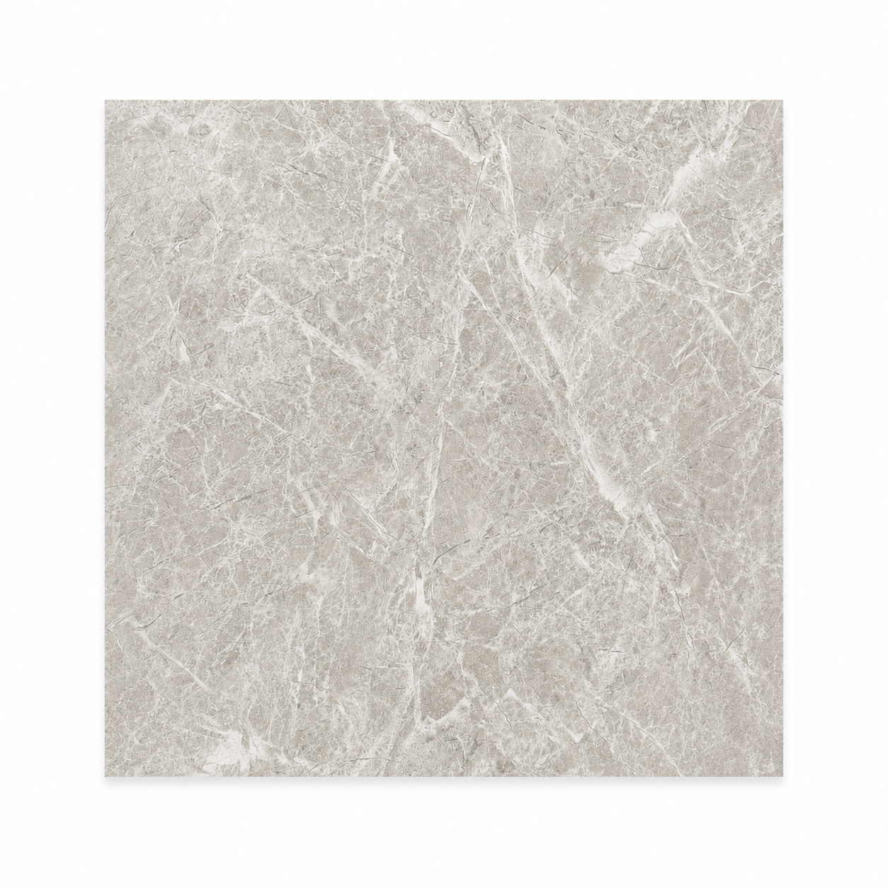 PorcelainTile Grey Glossy Glazed 24x24 in 15.50 SF Box