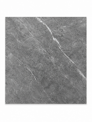 Ceramic Tile Camelia Polished 24x24 in 15.50 SF Box