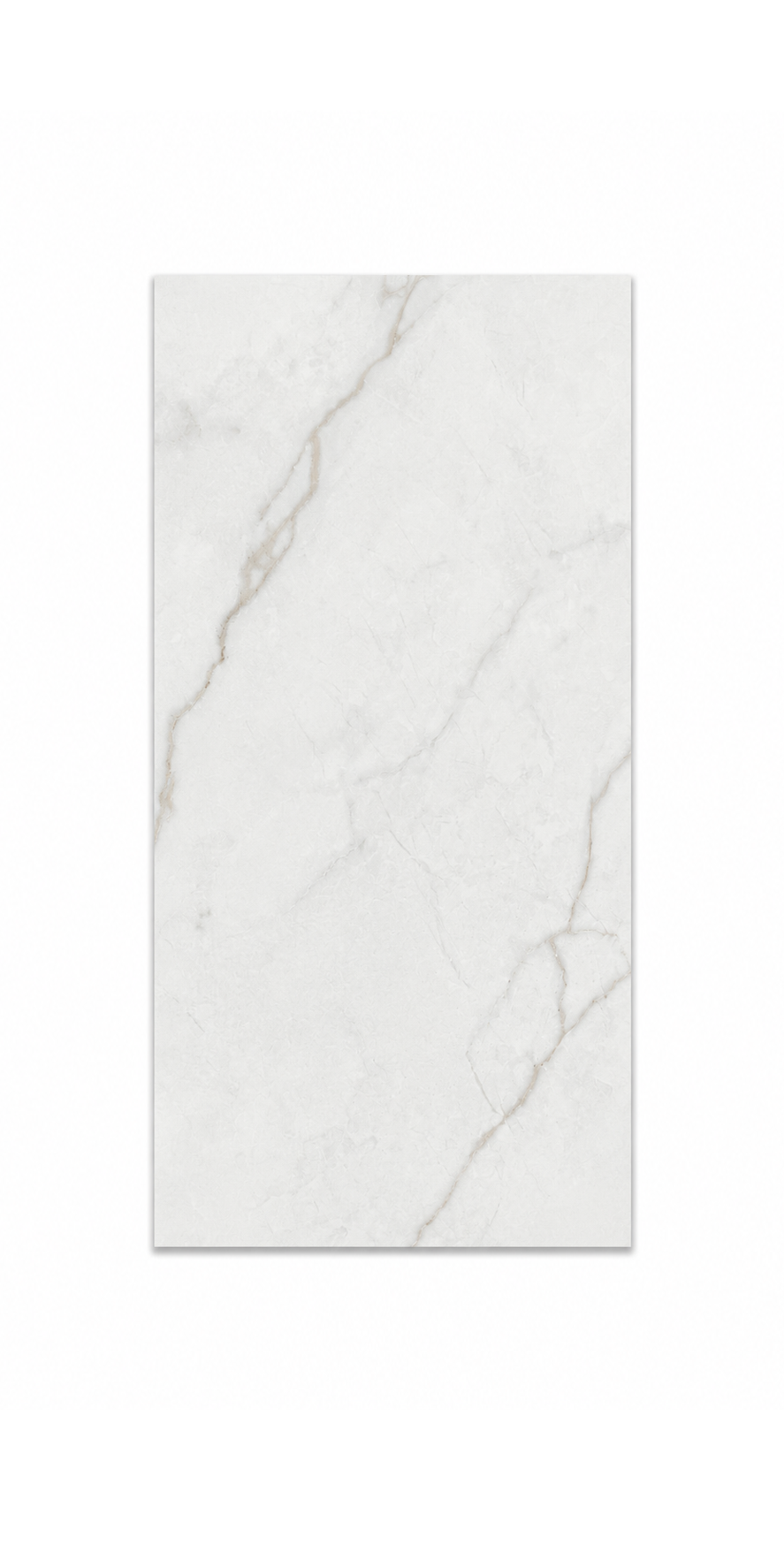 Ceramic Tile Brighton Gold Polished 12x24 in 16.00 SF Box