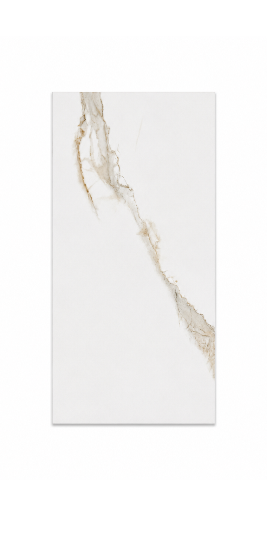 Ceramic Tile Grace Fd Us White 1A Matte 12x24 in 17.44 SF Box