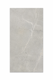 Ceramic Tile Alstein Fd Us Grey Matte 12x24 in 17.44 SF Box