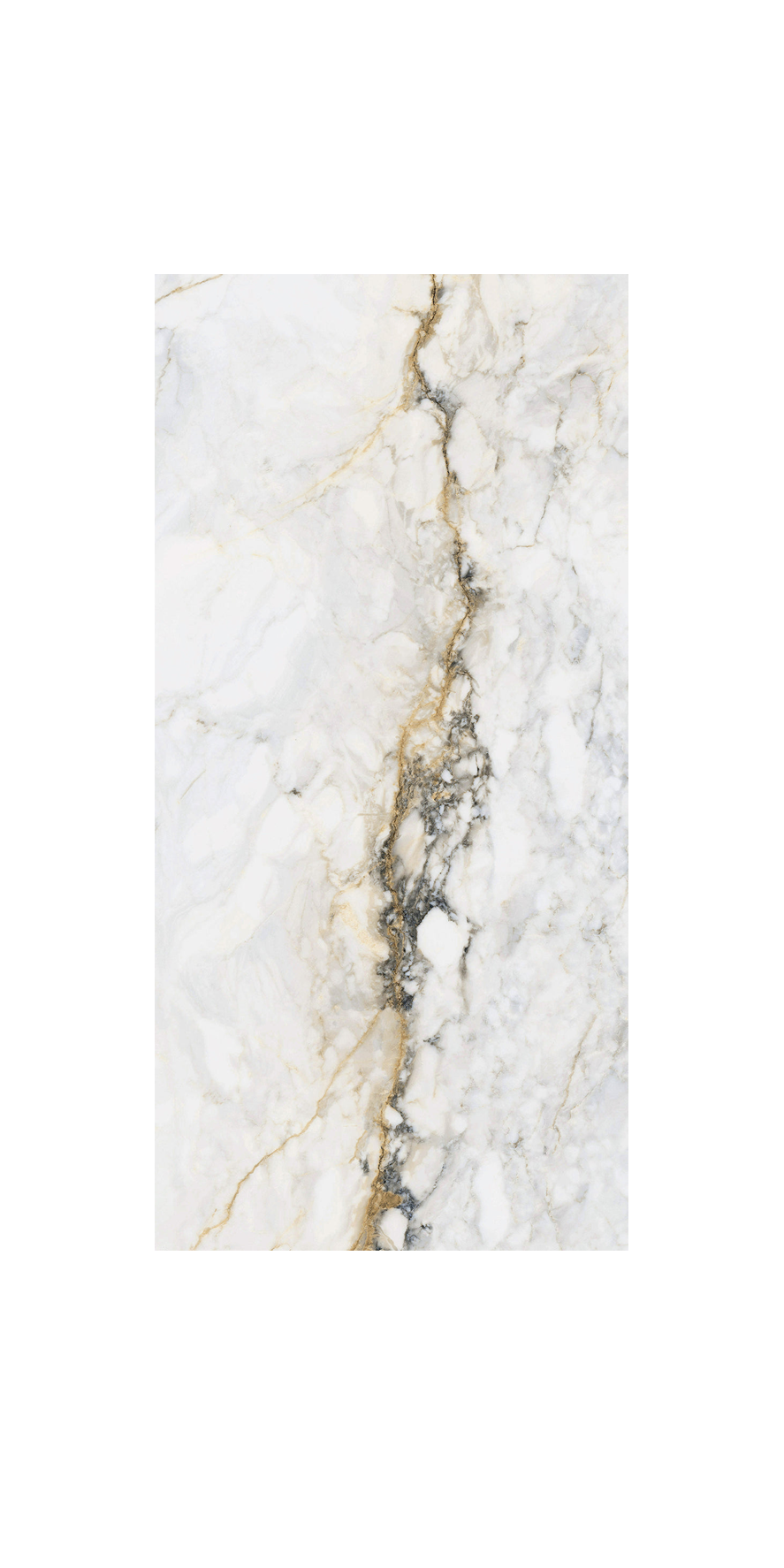Ceramic Tile - Cr. Pisa Collection available in 12x24, 1 color and 2 finishes