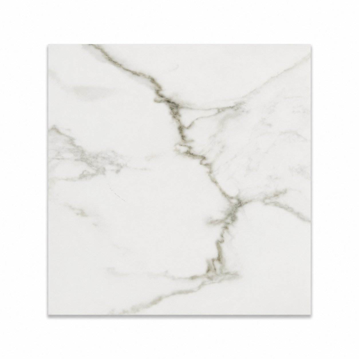 Porcelain Tile La Marca Calacatta Paonazzo Polished 24x24 in 15.50 SF Box