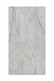 Porcelain Tile La Marca Paradiso Argento Polished 12x24 in 15.50 SF Box