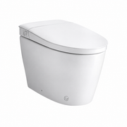 Smart Bidet Toilet