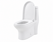 Toilette Monoblock