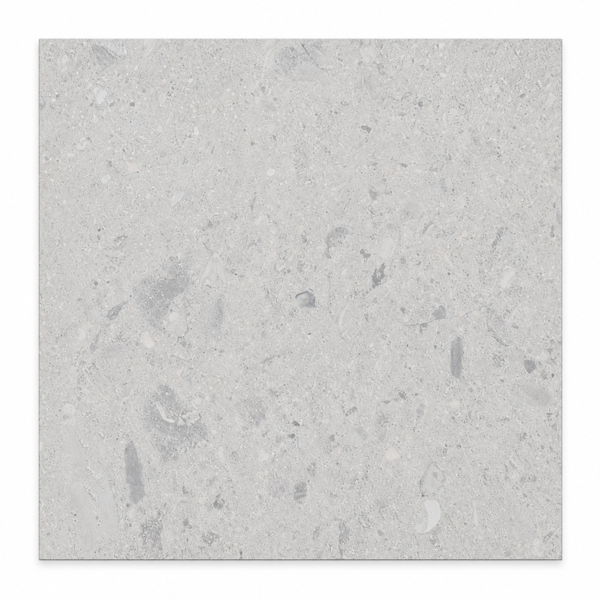 Carrelage Collection TERRAZO VERGLAS 24x24 po 1 Couleur 1 Finition