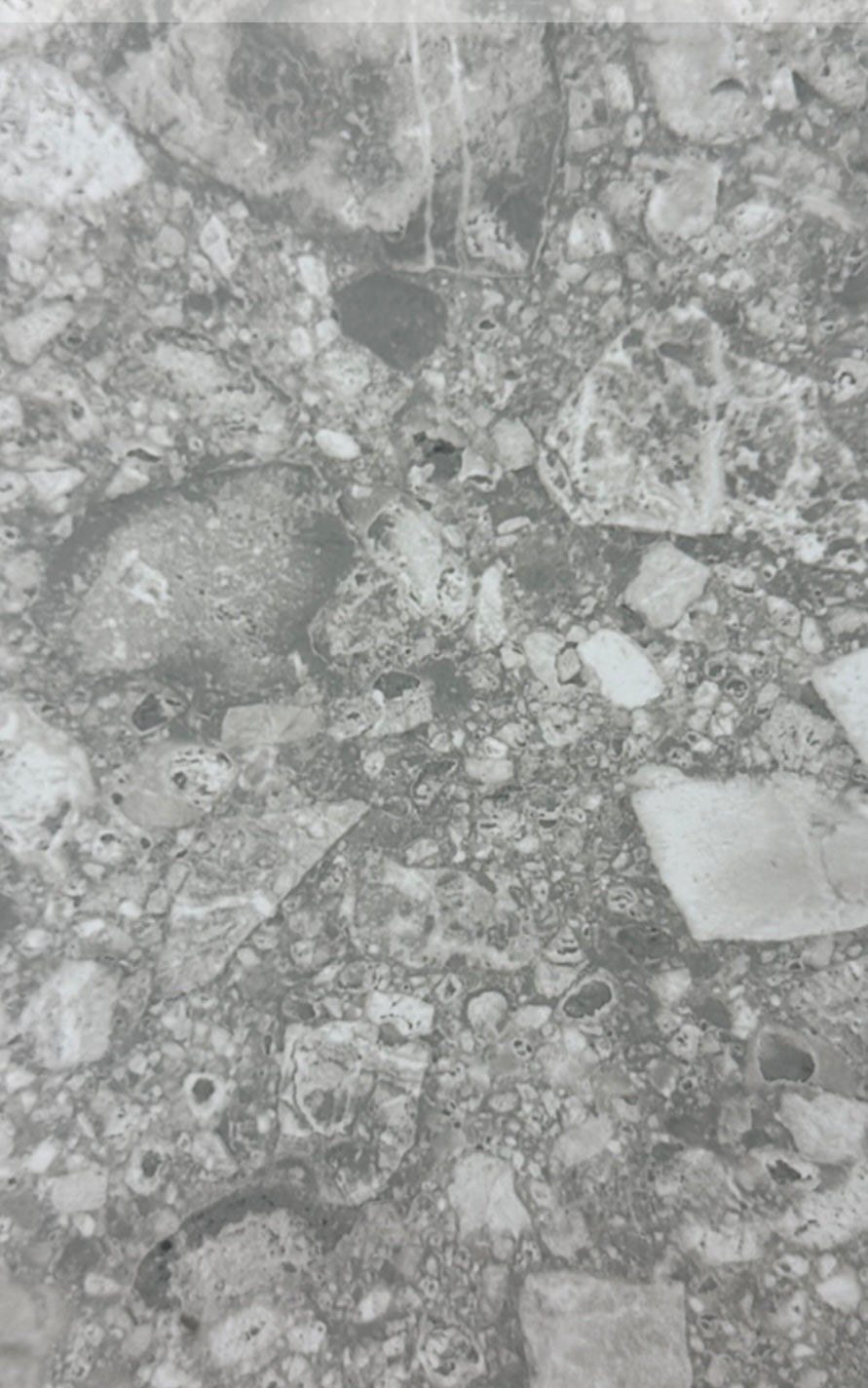 Carreaux en céramique/poreux Inox Blanco POLISHDE 12x24 po, boîte de 16 pi²