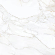 Ceramic Tile Pris Paonazzo Gold Matte 24x24 in 15.50 SF Box