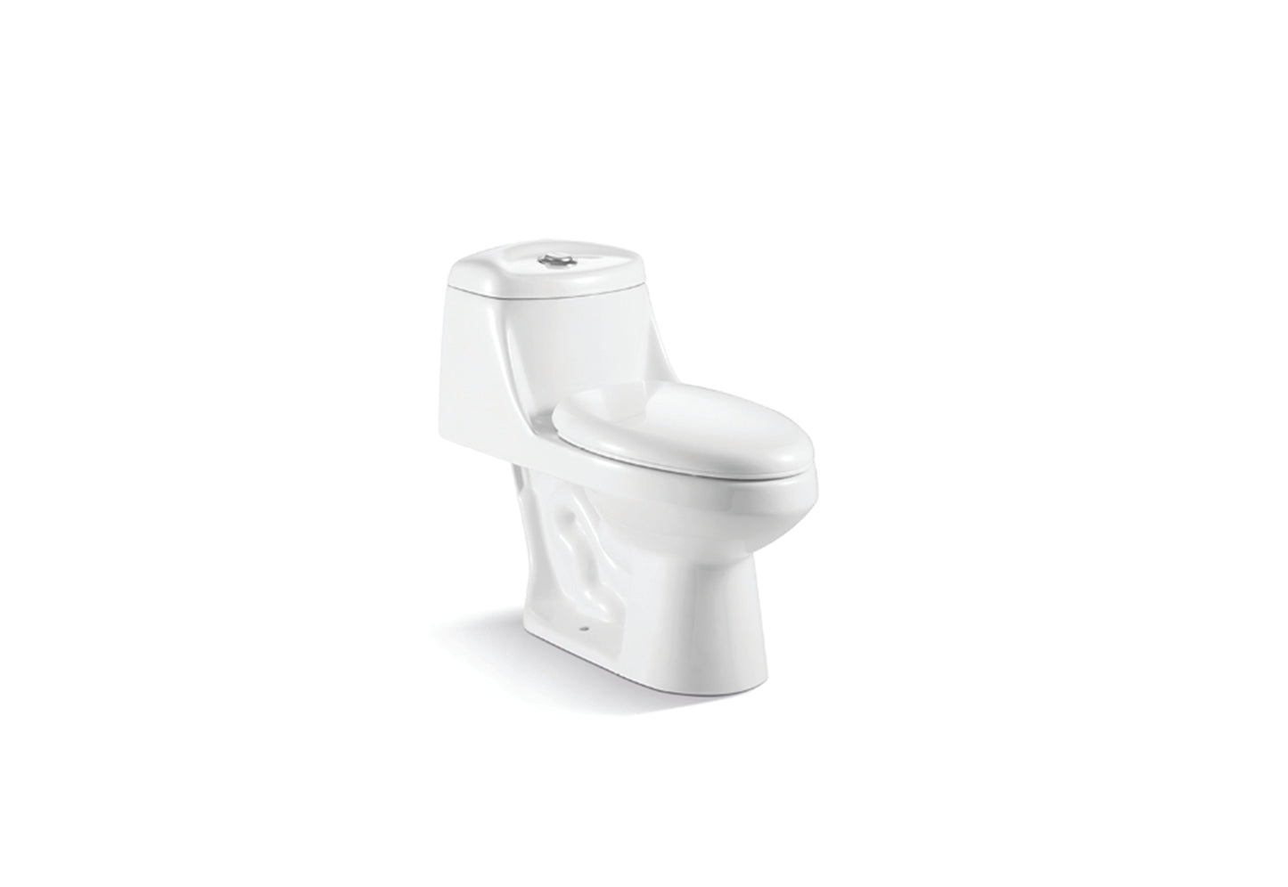 Toilette monobloc Siphon en S