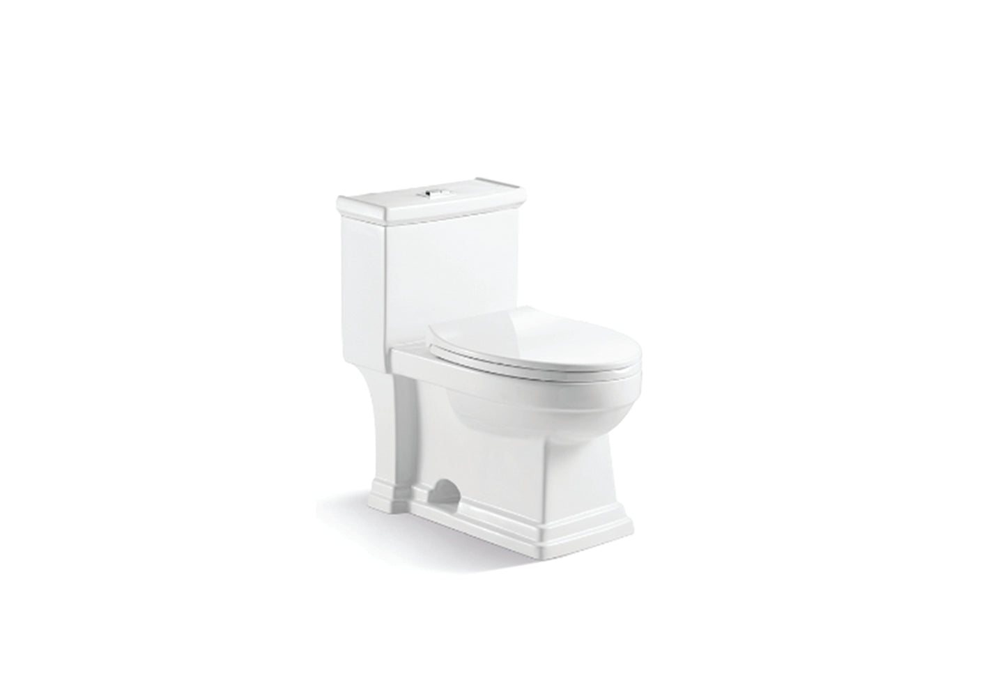 Toilette monobloc  Siphon en S 300 mm