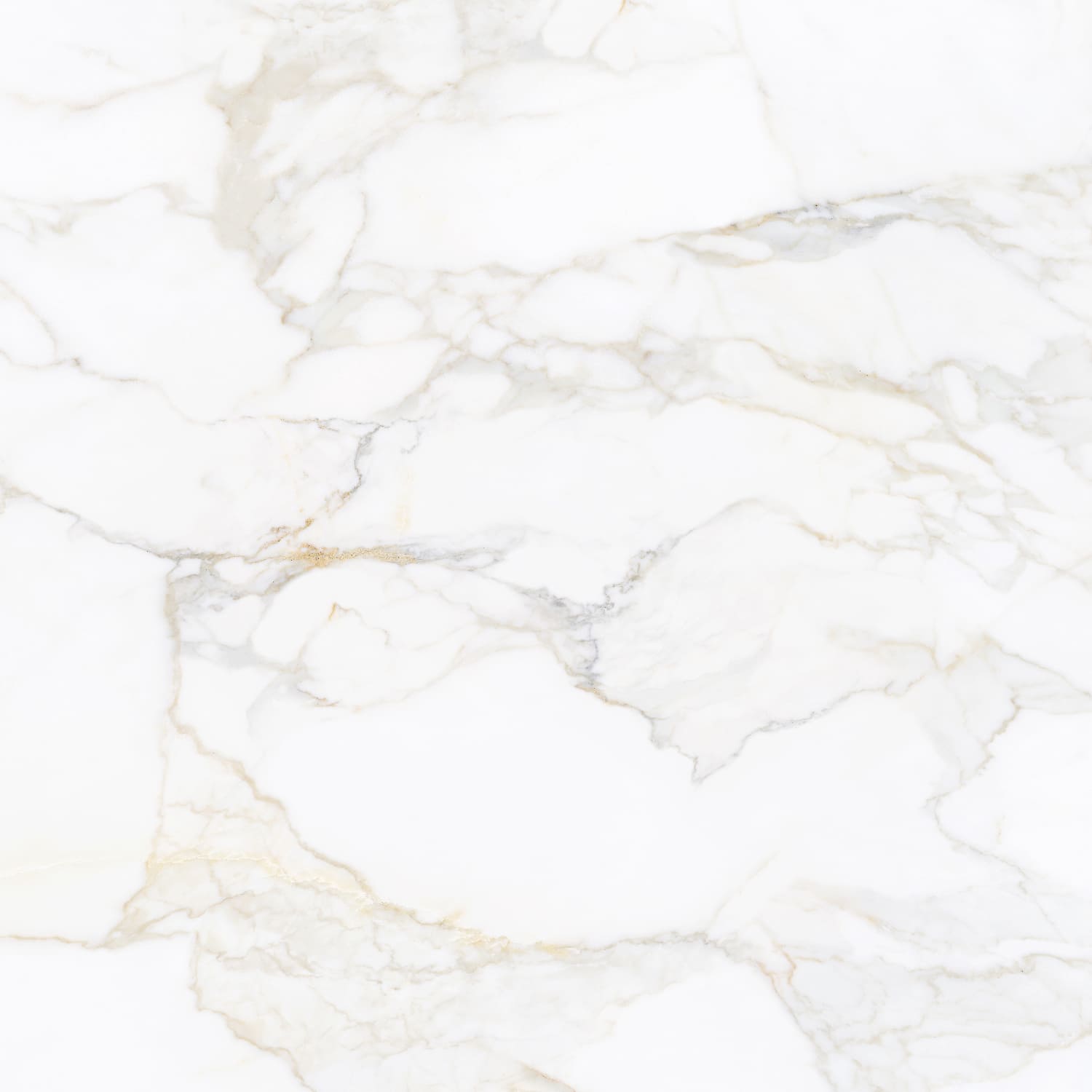 Carreaux de céramique en porcelaine - Collection Pris Paonazzo disponible en 3 tailles, 1 couleur et 2 finitions.