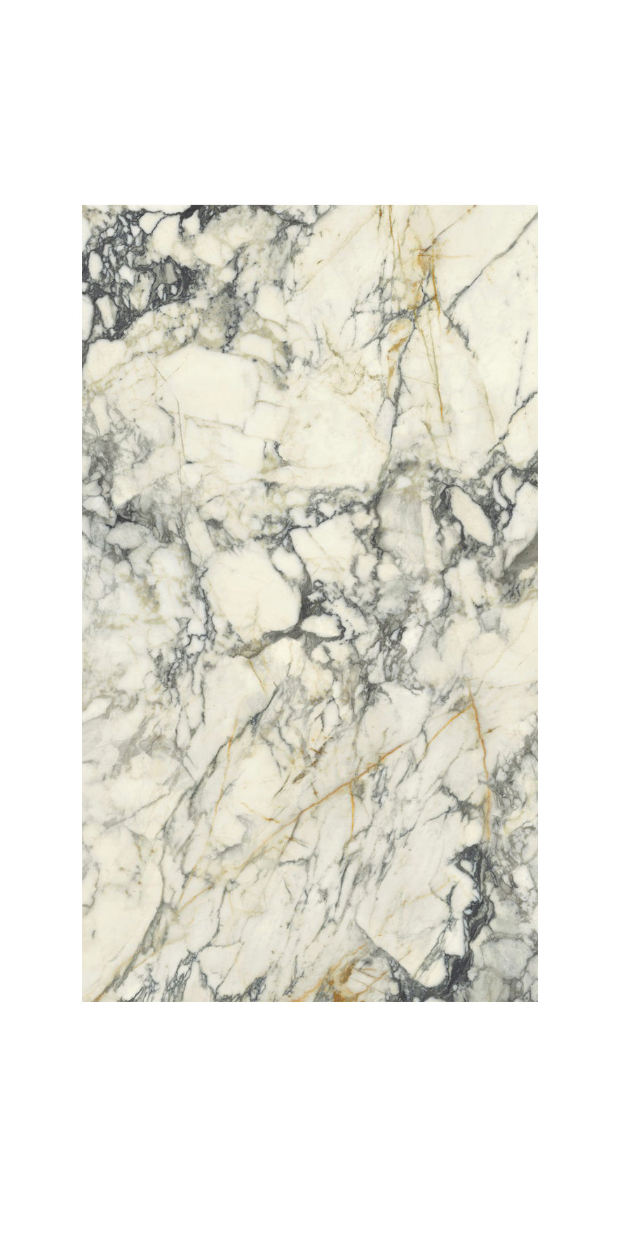 Ceramic Tile - collection Premiere Marble Look available in 24x48, 4 colors and 2 finish. 24x48 in PAONAZZO