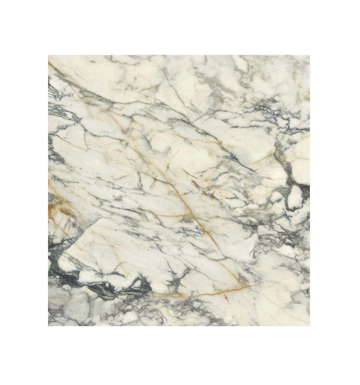 Ceramic Tile - collection Premiere Marble Look available in 24x24, 4 colors and 2 finish. 24x24 in PAONAZZO RETT