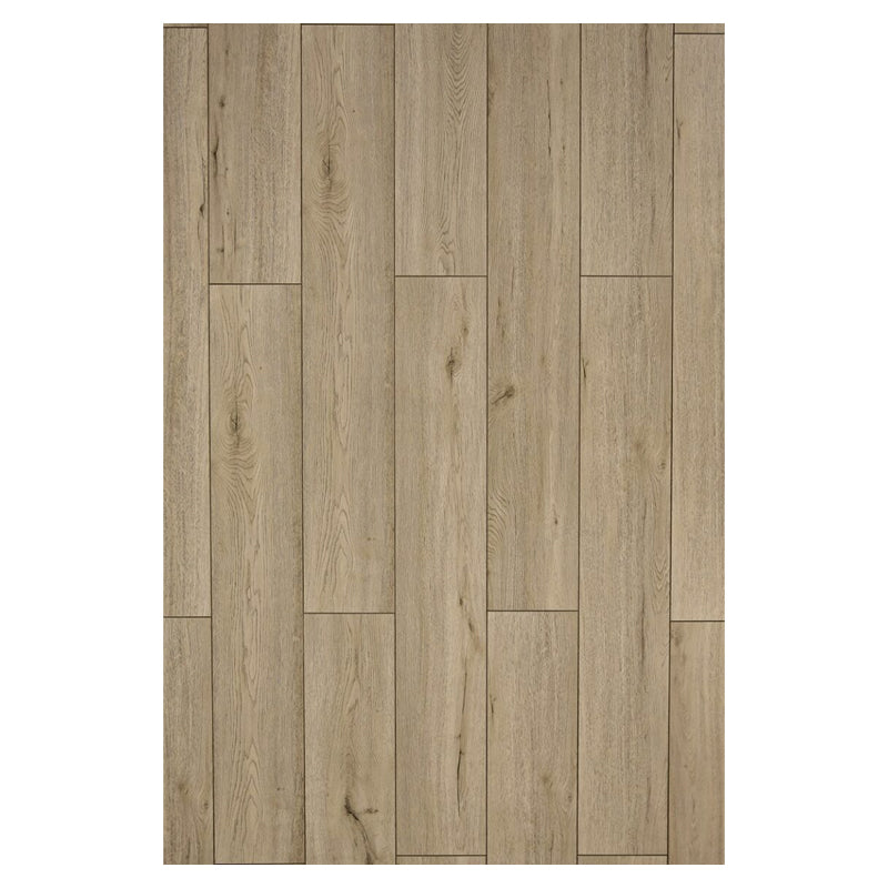 2,99 $ / PC- 20,03 PC/boîte - Roxston Lakeside Park Lakeside Park Tranquil ROX3113-2