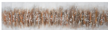 Paint Splatter Frame