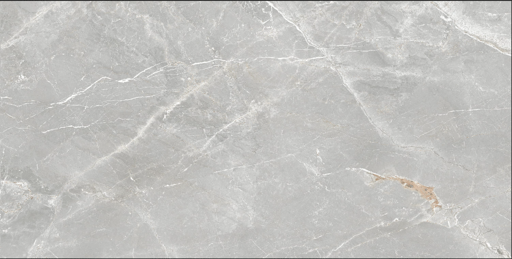 Carrelage En Porcelaine Pris. Fior Di Bosco Perla Mat 24x48 en G4