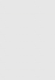 Carreaux de céramique Soho Vintage Gris Mat 4x16 po, boîte de 10,76 pi²