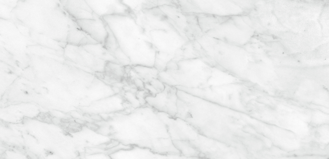 Porcelain Tile Plata Carrara 12x24 in 15.50 SF Box