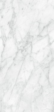 Carreaux de porcelaine Plata Carrara 12 x 24 po, boîte de 15,50 pi²