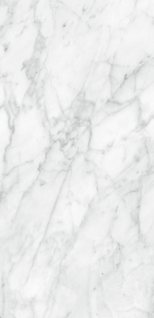 Carreaux de porcelaine Plata Carrara 12 x 24 po, boîte de 15,50 pi²