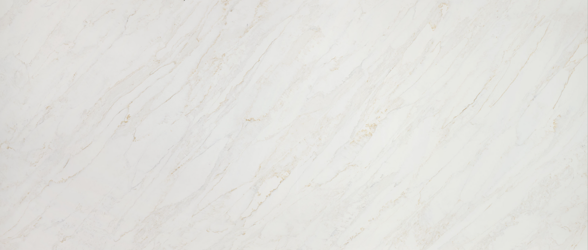 Countertop Quartz 2cm-3cm Calacatta Premata MSI