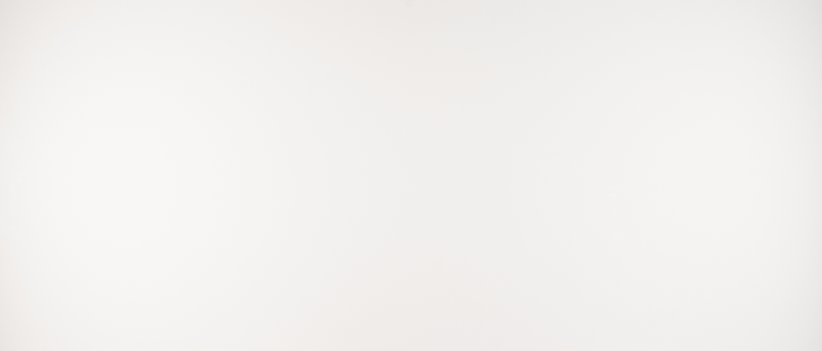 Countertop Quartz 2cm Arctic White 127x64 MSI.
