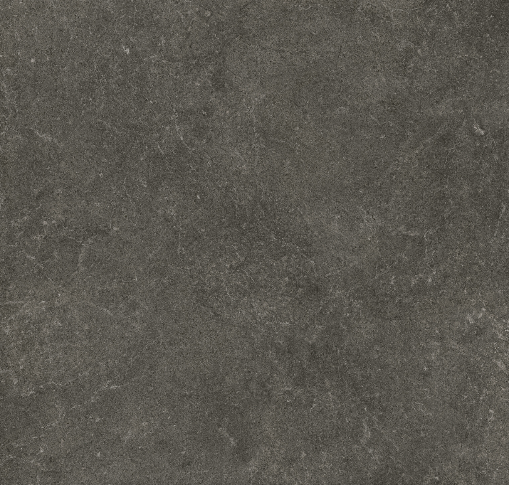 Porcelain Ceramic Tile - Pris. Start Collection available in 3 sizes 4 colors and 1 finish 24x24 in Argent Matte