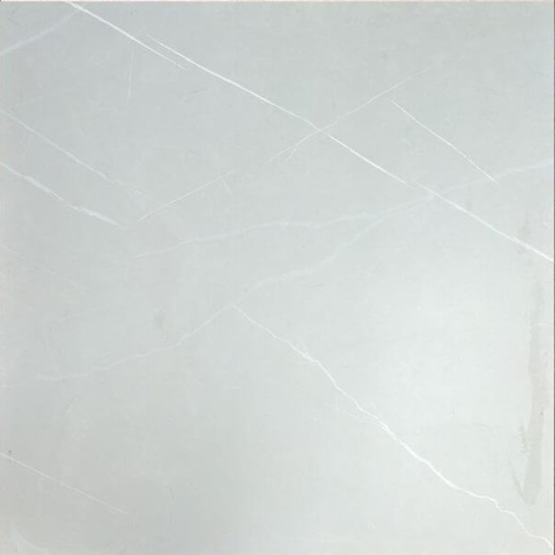 3.99 $ / SF - 16 SF/Box Tile Camelia Silver Matte Rectified 24x24in