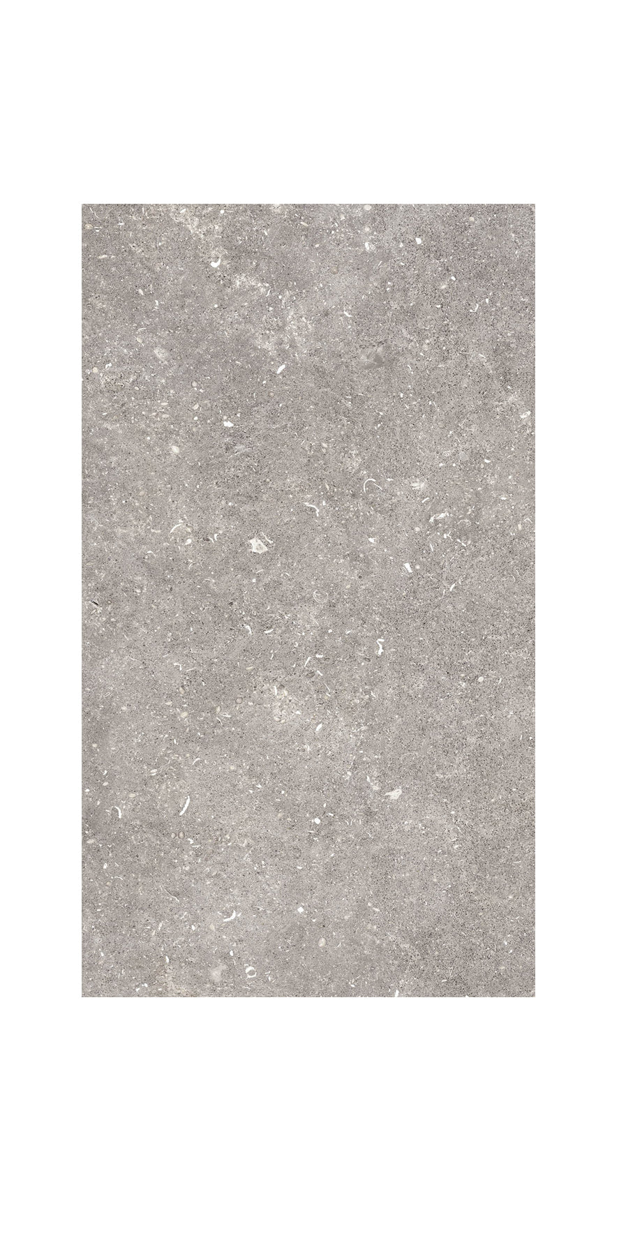 Ceramic Tile - (T) C Dover Collection available in 24x48 in, 3 colors and 1 finish 24x48 in Gris Matte