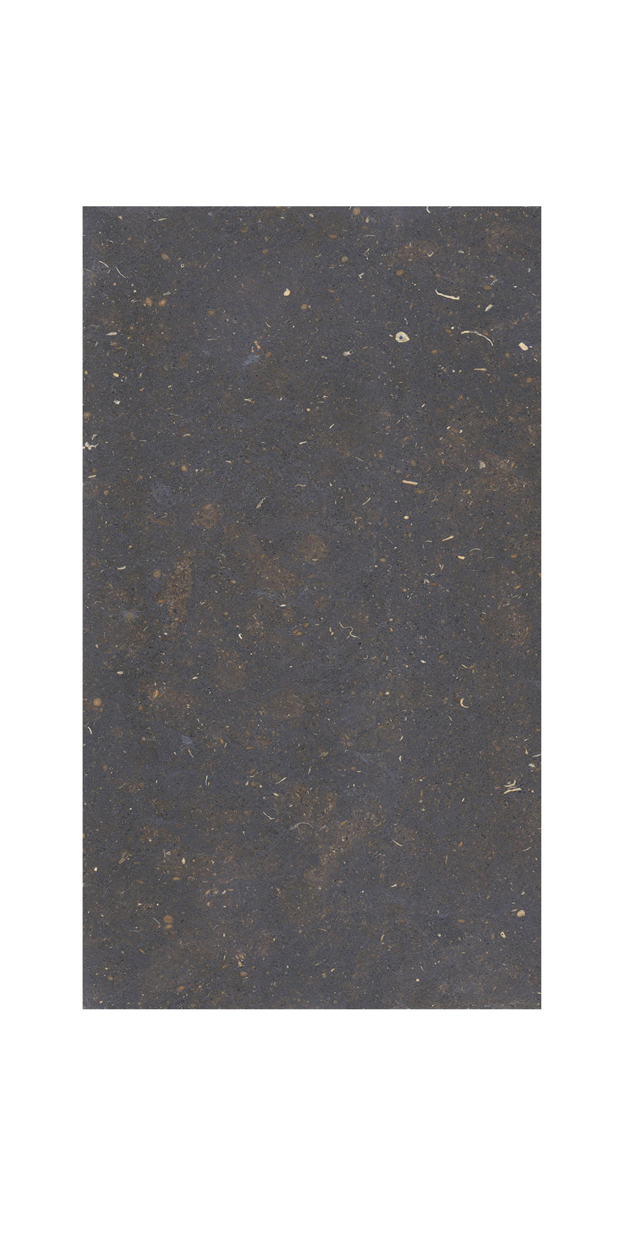 Ceramic Tile - (T) C Dover Collection available in 24x48 in, 3 colors and 1 finish 24x48 in Nero Matte