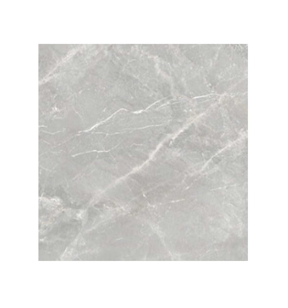 Ceramic Tile Pris Fior Di Bosco Perla Polished 24x24 in 16.00 SF Box 24x24 in