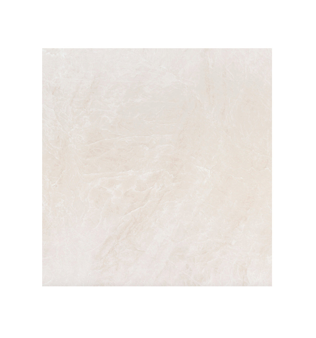 Ceramic Tile - Crown Collection available in 24x24, 2 colors and 2 finishes 24x24 in White