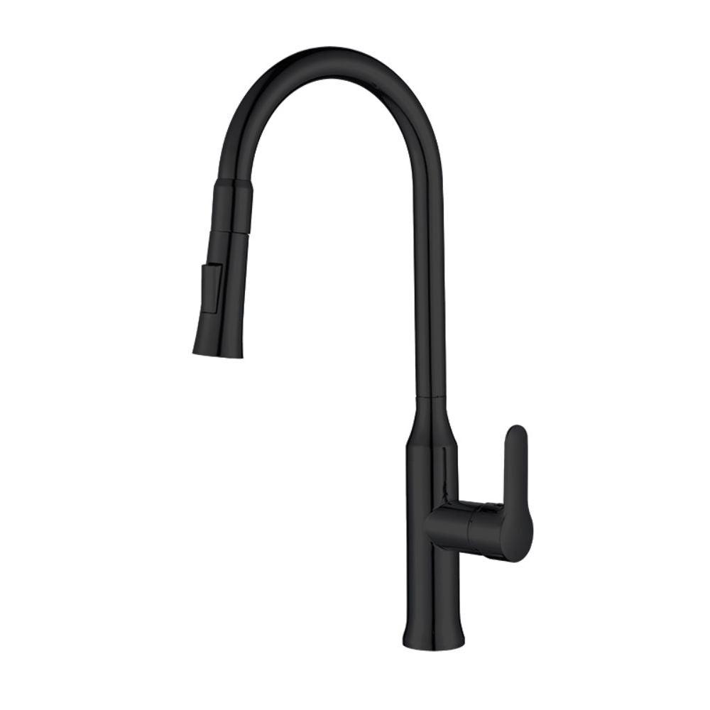 Robinet de cuisine extractible noir mat